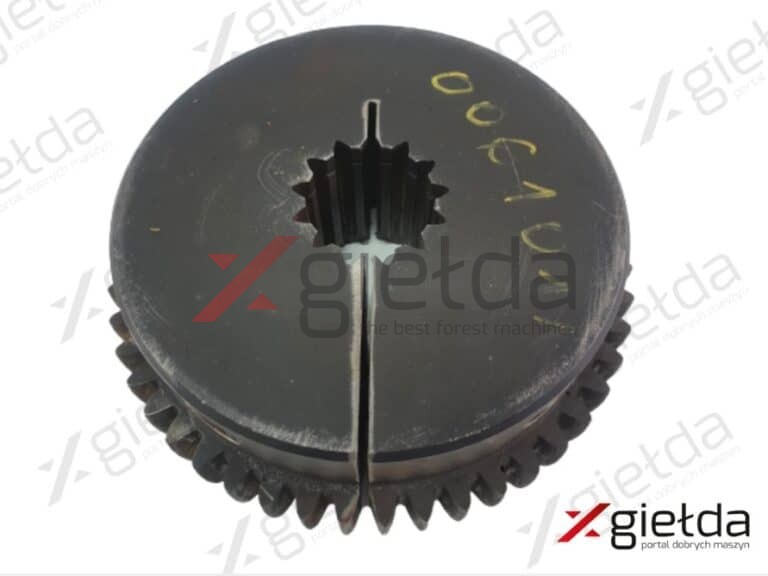 Zdjęcie WhatsApp 2024-10-25 o 14.33.30_f21a7273