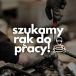 SZUKAMY RAK DO PRACY